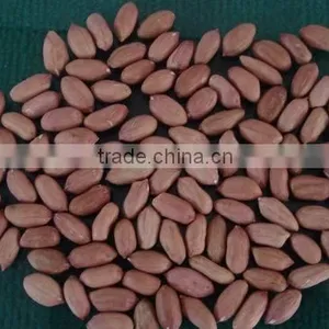 Raw Peanuts Without Shell thumbnail-1