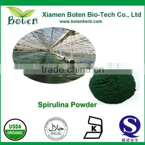 Wholesale 100% Pure Spirulina Powder thumbnail-1