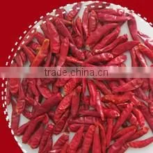 Dried New Generation Chilli thumbnail-1