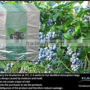 Blueberry Bag thumbnail-1