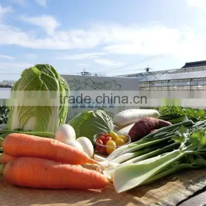 Reliable Vegetable Fermented Enzyme Supplement for Beauty and Health thumbnail-2