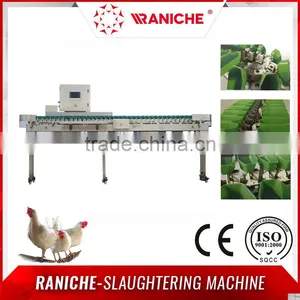 Automatic Weighing Grader for Poultry Food thumbnail-1