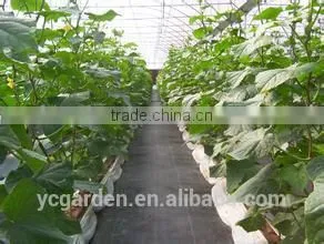 Best Seller Black PP Woven Glass Mulch thumbnail-1