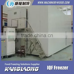 High Quality IQF Frozen Fruit Mango Machine With Good Price thumbnail-4
