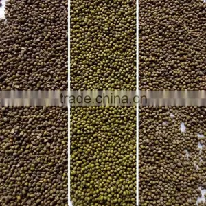 Stable Quality Mung Bean Color Sorter Machine thumbnail-2