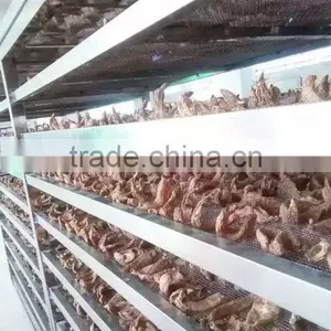 Rhizoma Gastrodiae Heat Pump Dehydrator thumbnail-4