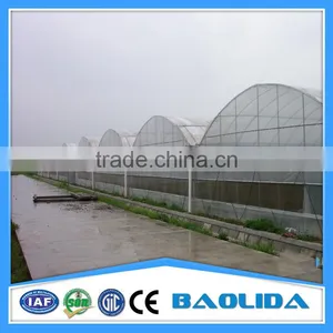 BLD Large Multi-span Plastic Film Greenhouse Commercial Use thumbnail-6