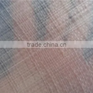 Durable Transparent pe Tarpaulin, Clear Mesh pe Tarpaulin Fabric thumbnail-3