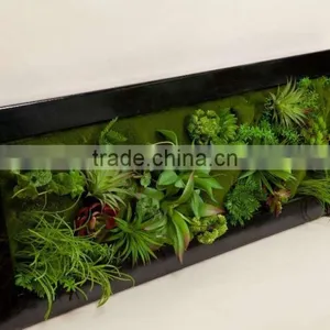 Fashion Wall Hanging Plants thumbnail-5