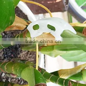 Clear Tomato Grafting Plant Clips thumbnail-3