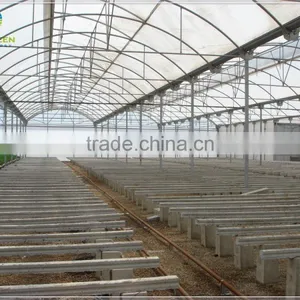 Large Size Agricultural Plastic Film Greenhouse for Planting Vegetable thumbnail-1