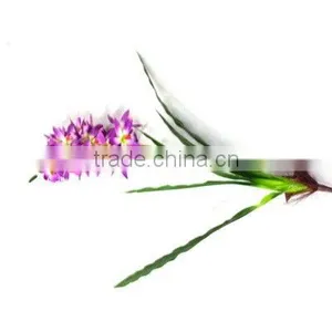 Artificial Tropical Flower thumbnail-1
