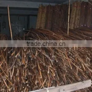 Raw Rattan Cane, Rattan, Cane, Rattan Meterial, Raw Material, Rattah Raw Mateiral, Rattan Cane, Rattan Pole, Pole, Raw thumbnail-3