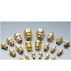 Brass Nuts thumbnail-1