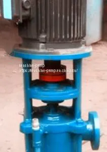 LG Vertical Multistage Feeding Water Pump for High-rise Building thumbnail-1
