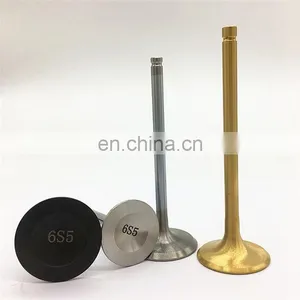 Automobile 3sgte 3sge 4age 2jz 2jzgte 24v 20v 16v 1fz 1nzfe for Toyota Springs Kits Single and Double Ferrea Engine Valves Kits thumbnail-5