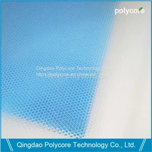 PC honeycomb core (1)