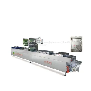 DZ-420 Automatic Vacuum Packaging Machine Backing Machine Stretch Film Sealing Machine thumbnail-1