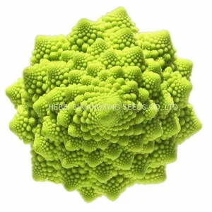 F1 Hybrid Beautiful Green Cauliflower Seeds /Broccoli Seeds thumbnail-2