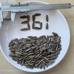 Striped Sunflower Seeds Raw in Shell Confectionery thumbnail-4