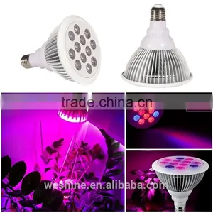 2016 New 12W E27 Par38 Red Blue LED Grow Light Bulb LED Plant Grow Light, E27 12w Indoor Garden Hydroponic Plant Grow Led Light thumbnail-6