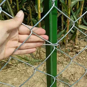 Galvanized Chain Link Fence With 2.5mm Wire Diameter and 50mm Mesh Size thumbnail-4