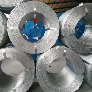 Steel Wire & Anti Rust Steel Wire，GB/T 341-2008、GB/T 17101-2008、GB/T 3091-2008 thumbnail-5