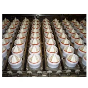 Cone Ice Cream Filling Machine thumbnail-1
