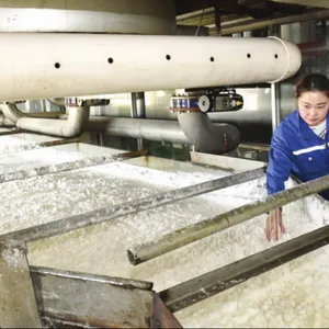 Beet Sugar Processing Line thumbnail-4