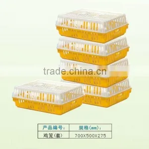 China Shenzhen Plastic Poultry Crate Mold Chicken Cage Mold thumbnail-1