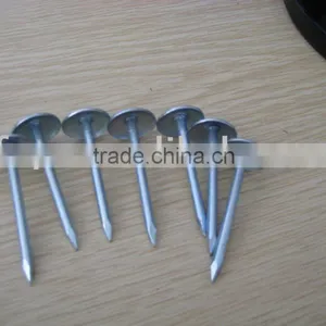 Umbrella Head Roofing Nails Factory thumbnail-1
