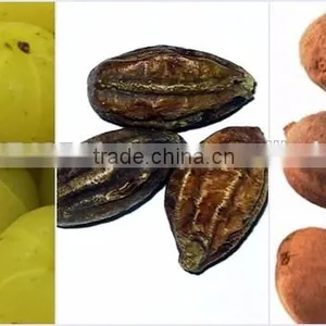 Best Quality Triphala Powder Manufacturer thumbnail-3