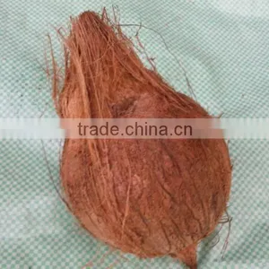 1 Bag Coconuts is Ready to Sale to UAE thumbnail-1