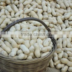 Best Selling Products New Wholesale Peanuts Raw Peanuts for Sale thumbnail-2