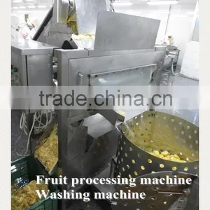 Impurity Removing and Cleaning Machine / Fruits and Vegetables Cleaning Machine thumbnail-4