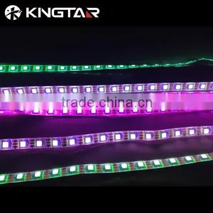 5050 LED 72 96 Ws2812b Led Strip thumbnail-1