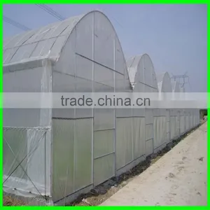 Lightweight Greenhouse Anti Insect Net for Agriculture thumbnail-2