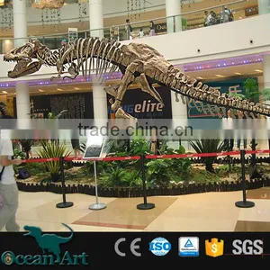 BY-DY-041406 Natural Science and History Museum Dinosaur Skeleton Model thumbnail-3