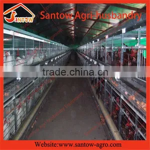 Stable Steel Structure Professional Chicken Egg Layer Cage Chicken Egg Layer House thumbnail-2