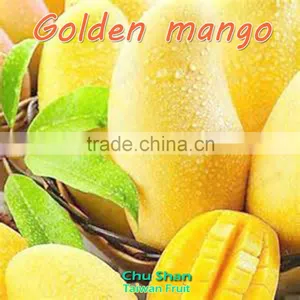 Hot Sale Fresh Mango (Grade AAA) thumbnail-2
