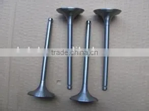 Changzhou Diesel Parts S195 Engine Valves thumbnail-1