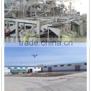 Inner Mongolia Sunflower Kernels thumbnail-1