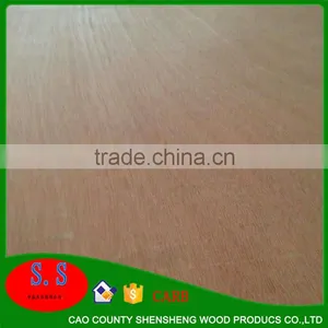 Cheap Paulownia Lumber Prices Paulownia Board Edge Glued Panels for Wooden Coffin Blockboard Machine thumbnail-3