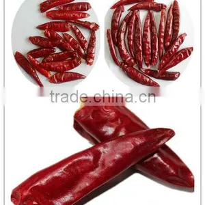 Small Chilli W/o Stem 1-3cm thumbnail-1