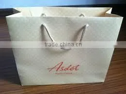 Printed Paper Bag thumbnail-1