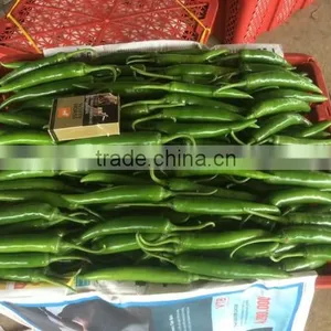 DALAT FRESH RED CHIILI thumbnail-3