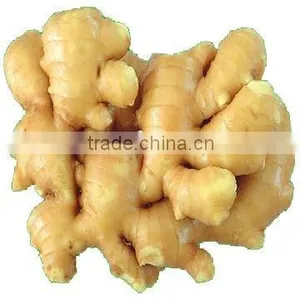 Professional Supplier of Ginger thumbnail-1
