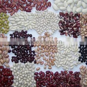Chinese Red Kidney Bean Original Wholesales Price thumbnail-1