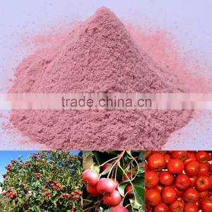 Freeze-dried Organic Hawthorn Berry Herbal Powder thumbnail-2