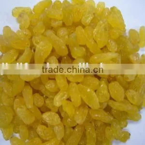 2015 Crop Golden Raisin With High Quality and Competitive Price. thumbnail-2